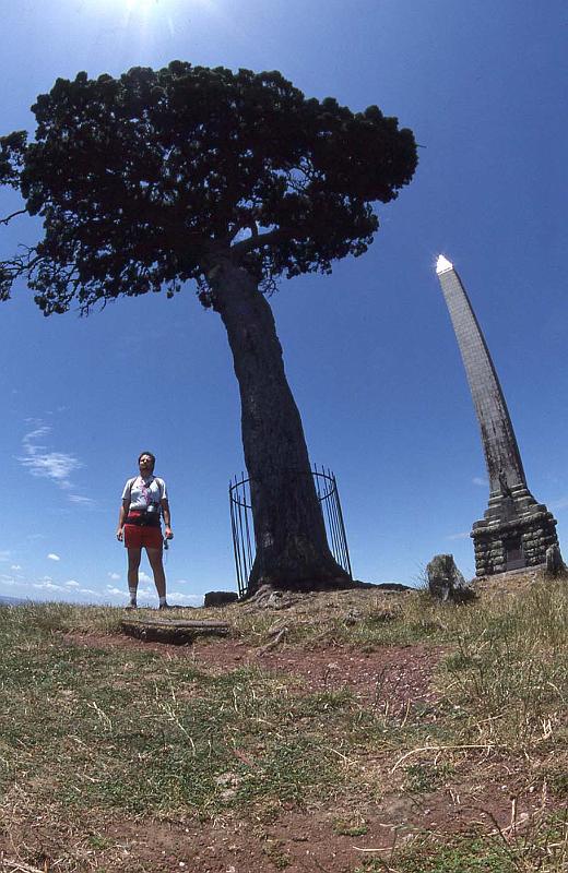 WT 0200 014-10 New Zealand.jpg
